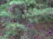 CIMG1443